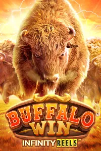 Buffalo Win
